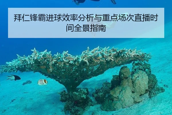 拜仁锋霸进球效率分析与重点场次直播时间全景指南