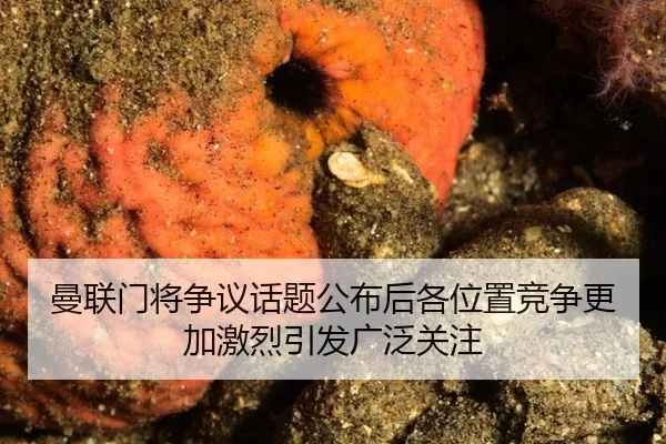 曼联门将争议话题公布后各位置竞争更加激烈引发广泛关注